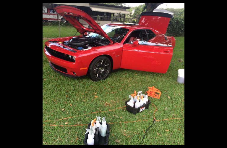 Detail Kings Vehicle Detailing
